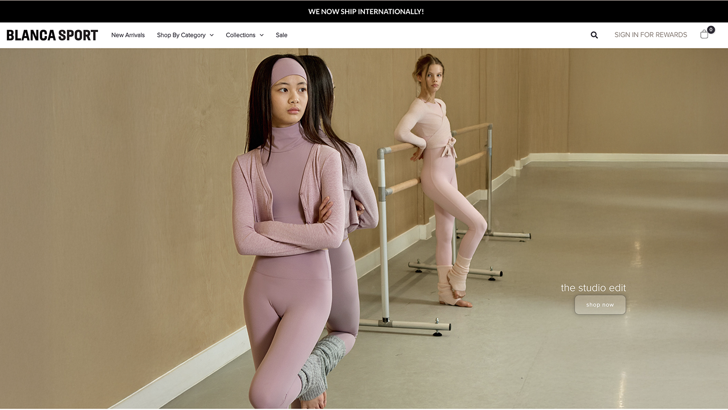 E-Commerce website example on desktop